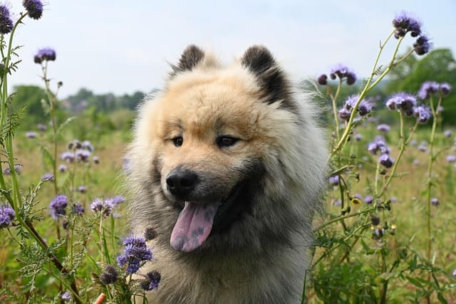 Charlie's solo picture with plants on the background
